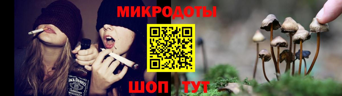 Псилоцибиновые грибы Cubensis  Псилоцибиновые грибы Psilocybine cubensis  Вход с VPN  Кудрово 