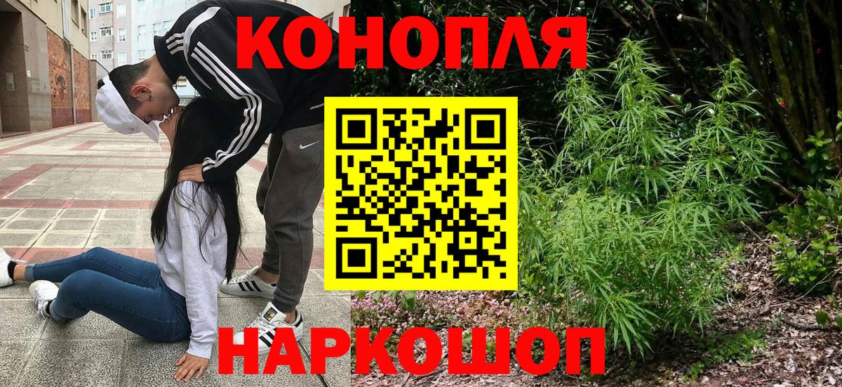 Кудрово  Канабис семена  Конопля ГИДРОПОН  Вход с VPN  Шишки марихуана марихуана 
